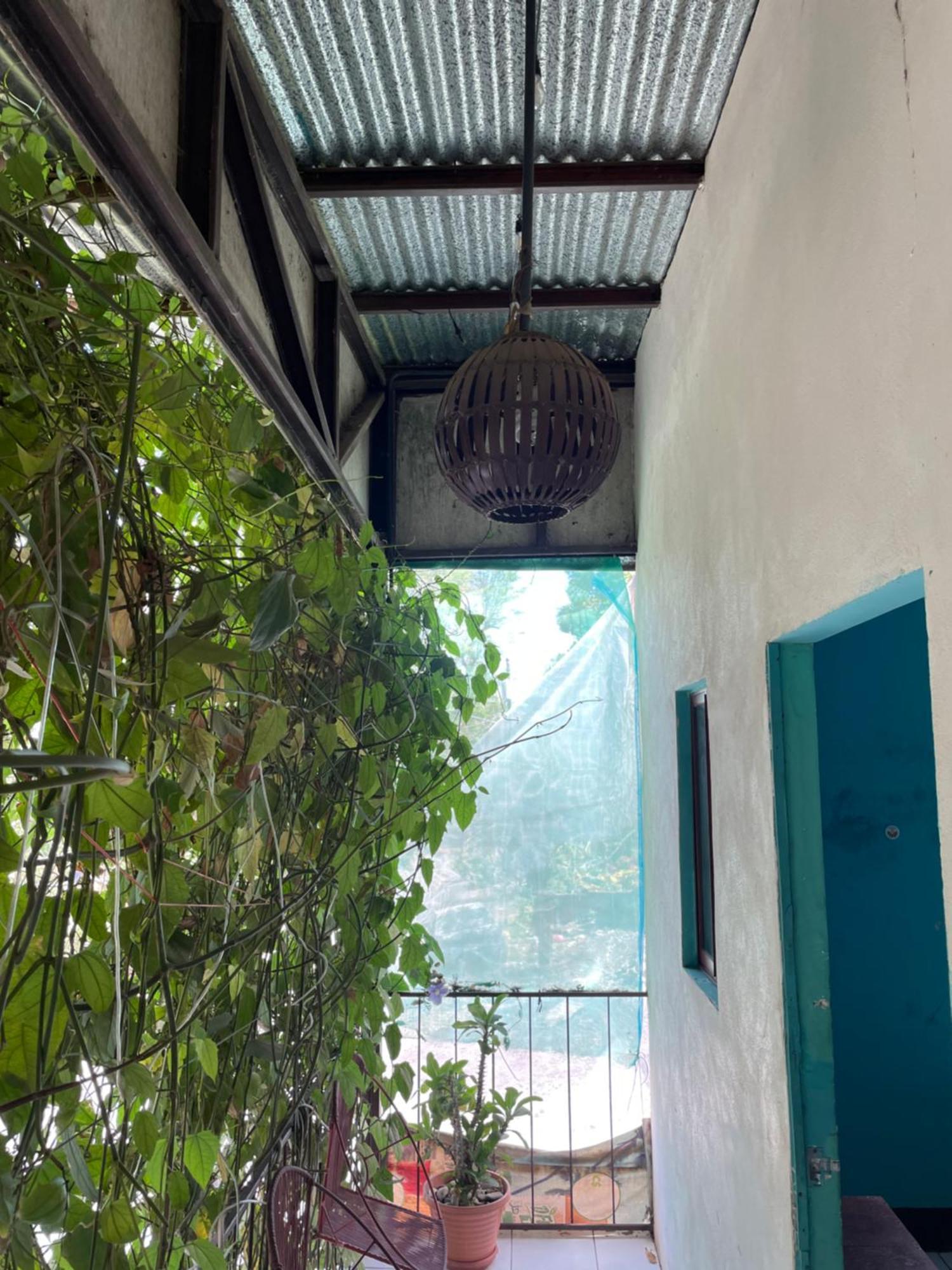 Hostal Isla Natal Moyogalpa Zewnętrze zdjęcie
