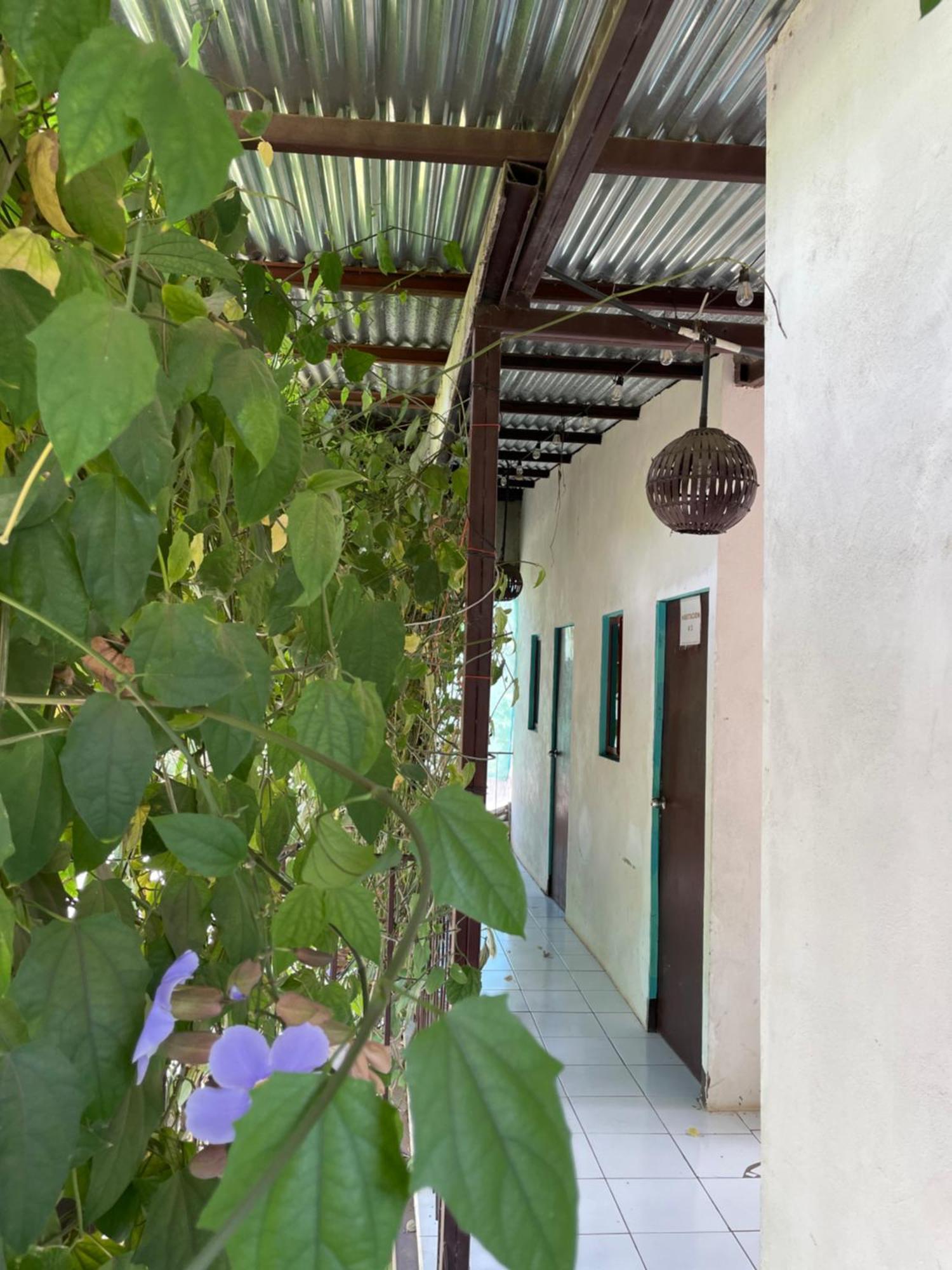 Hostal Isla Natal Moyogalpa Zewnętrze zdjęcie
